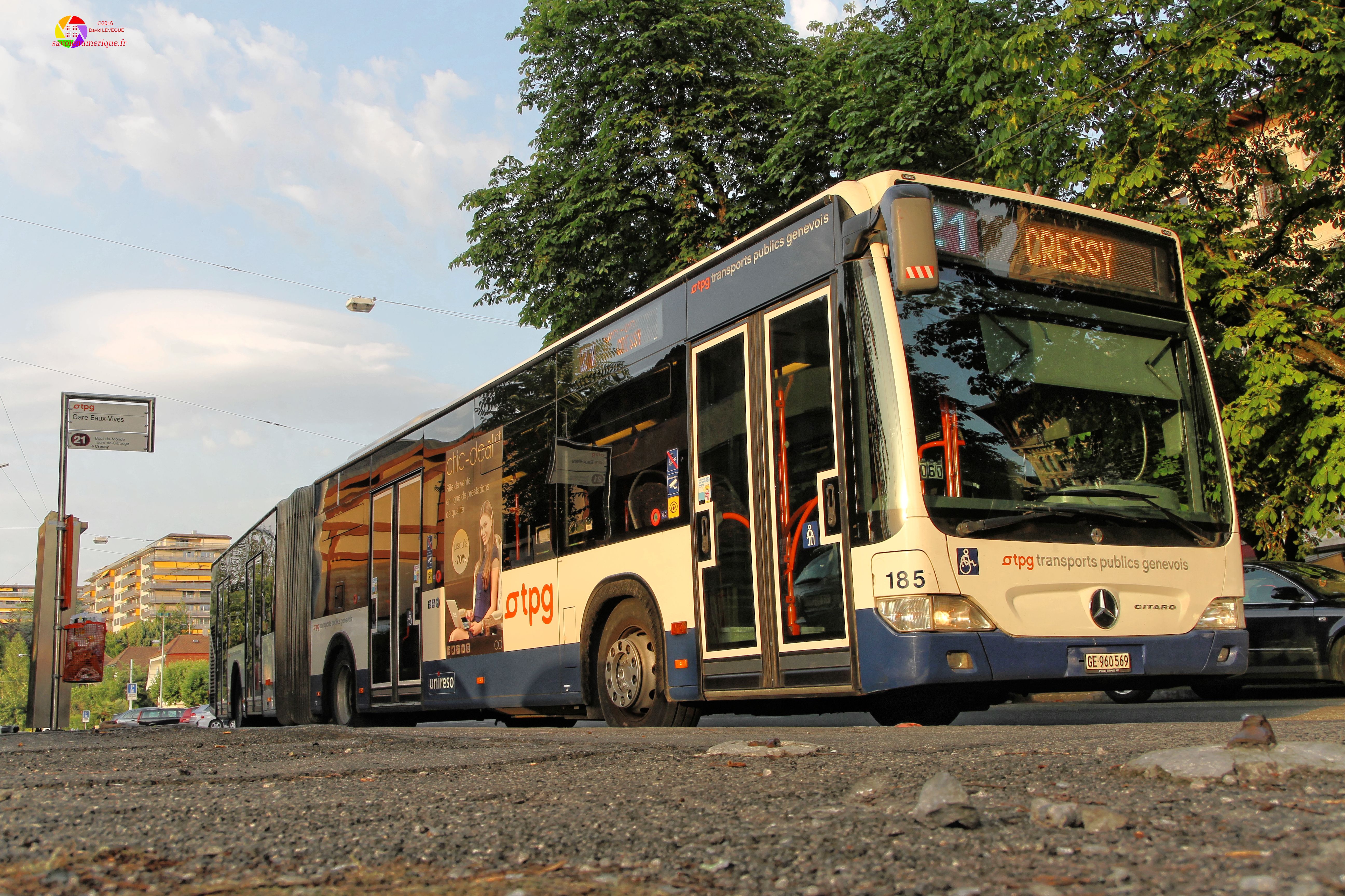 Bus Mercedes Citaro des TPG N°185 au terminus de la ligne 21, Gare des Eaux-Vives, Genève.
